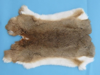 Czech #1/#2 Breeder Rabbit Skin: Bunny Brown 